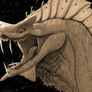 masterstudy_placeholder